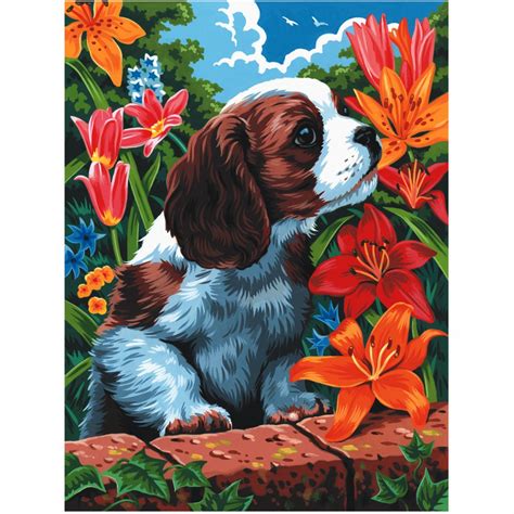 Puppy & Flowers Painting By Numbers - CraftyArts.co.uk