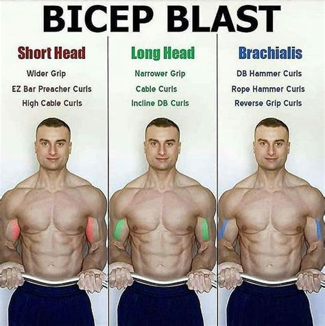 BICEPS BLAST | Short Head | Long Head | Brachialis | Biceps workout ...