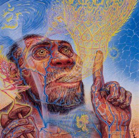 A Critique of Terence McKenna's 'Stoned Ape Theory'