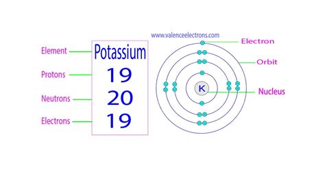 How Many Protons, Neutrons And Electrons Does Potassium Have?