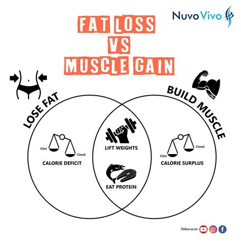 What is the difference between Fat Loss Vs Muscle Gain - NuvoVivo ...