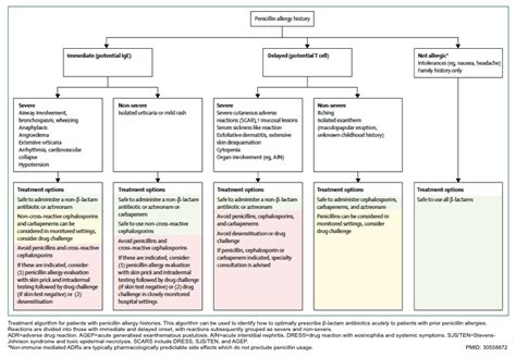 Beta-Lactam Allergy and Cross-Reactivity | RECAPEM