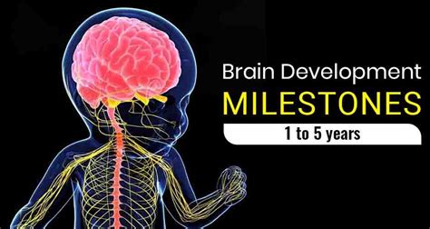 Brain Development Milestones In Children In The First 5 Years