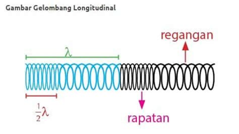 Contoh Gelombang Longitudinal, Pengertian dan Rumusnya