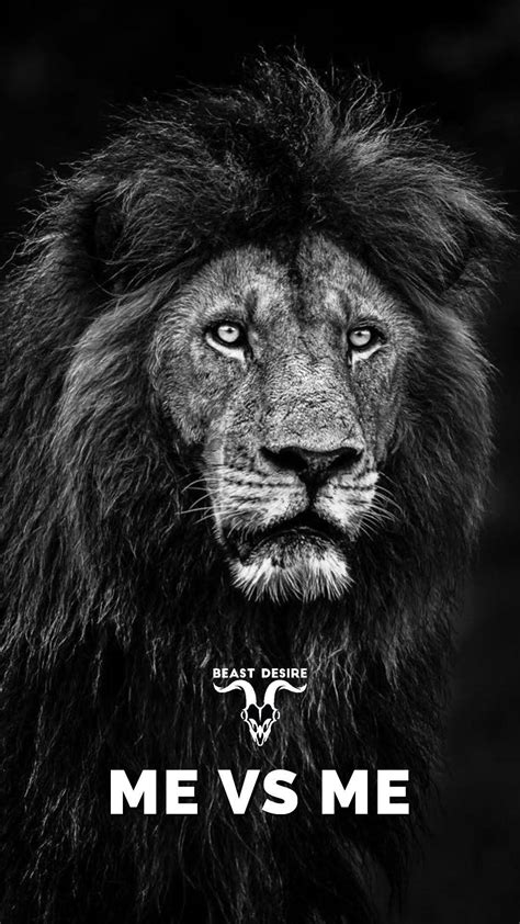 Lion Motivation Wallpapers - Top Free Lion Motivation Backgrounds ...