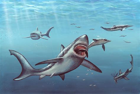 10 Interesting Facts About Megalodon