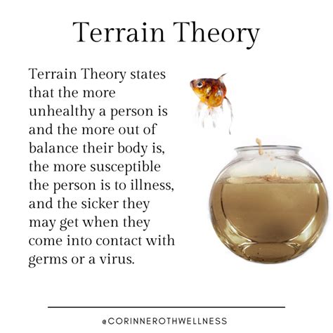 What is Germ Theory and Terrain Theory & How it Applies To Your Healthm