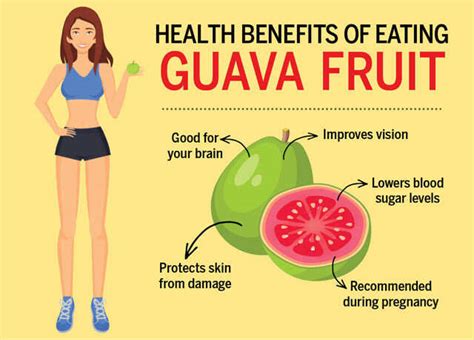 Top 6 Guava Fruit Benefits You Need To Know About | Femina.in