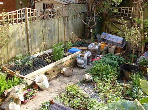 raised bed | Jan Mulreany's permaculture garden, Brighton, S… | Flickr