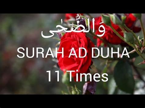 Surah Ad-Duha And Surah Alm-Nashra (100 Times) With Arabic, 56% OFF