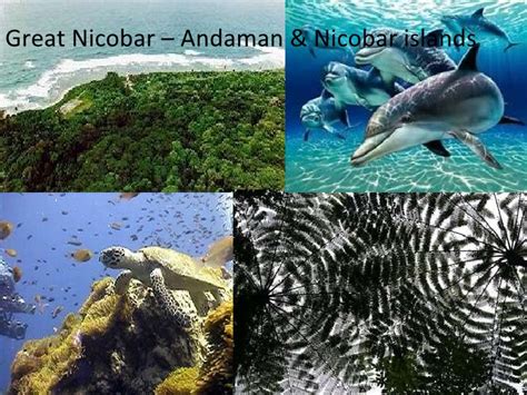 Andaman Tourism