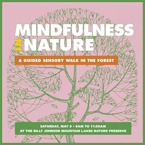 Mindfulness in Nature: A Guided Sensory Forest Walk — Friends of ...