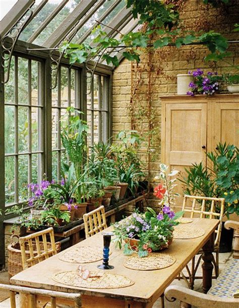 Best House Plants For Conservatory