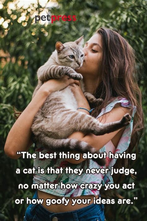 50+ Best Cat Lady Quotes That Inspire to Embrace Dreams