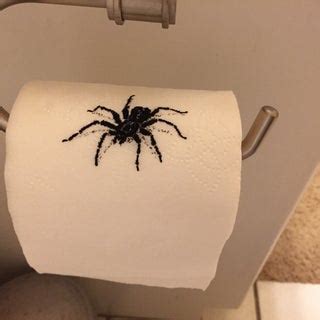 Spider on Toilet Paper Prank (with Pictures) - Instructables