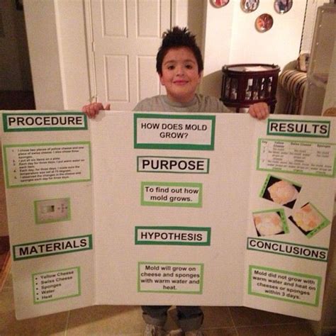 Science fair projects boards, Cool science fair projects, Science ...