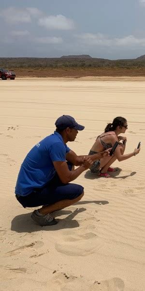 From Boa Vista: Turtle Watching and Nesting Evening Tour | GetYourGuide