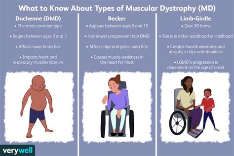 Muscular Dystrophy: Types and Symptoms