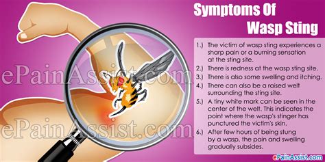 Wasp Sting|Symptoms|Treatment|Home Remedy|Herbal Remedy