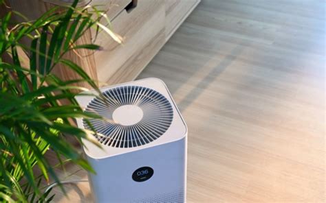 The Best Air Purifiers for Asthma & Allergies | CAAC