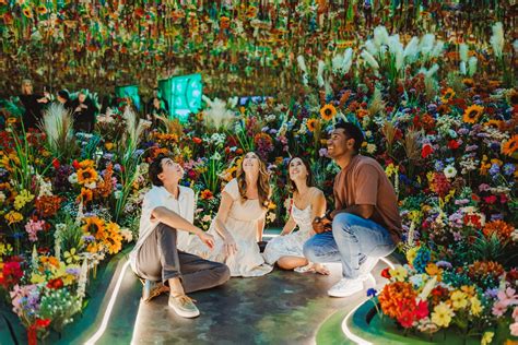 How To Make the Most of Immersive Art Experience Monet in Paris! | Perth Vibes