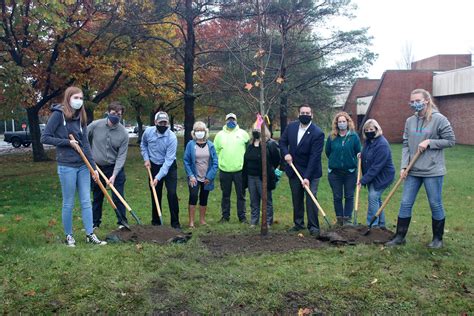 Jamestown Community College Plants Sugar Maple to Celebrate 11 Years as ...