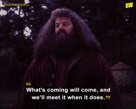 8 Of Rubeus Hagrid Quotes From Harry Potter