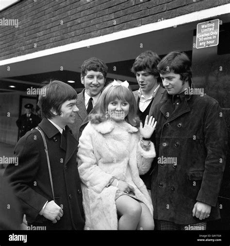 British pop music 1960s lulu hi-res stock photography and images - Alamy