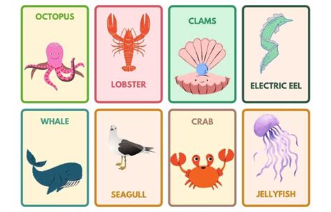 60+ Aquatic Animals Name: List With Pictures | Animals' Space