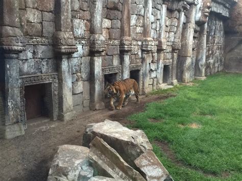 Bioparc Fuengirola en Fuengirola. Zoo