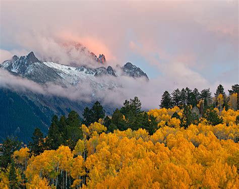 Wild Earth | Stan Rose Photography