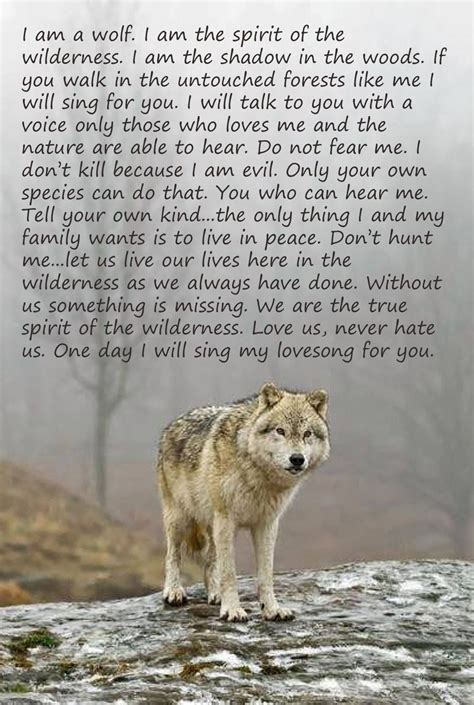 Home And Wild | Wolf quotes, Wolf spirit animal, Wolf spirit