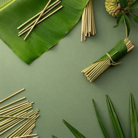 5 Best Ingredients To Make Biodegradable Straws – EQUO