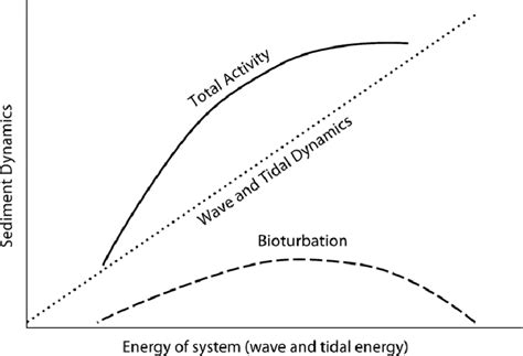 Relation between energy and both physical mixing and bioturbation.... | Download Scientific Diagram