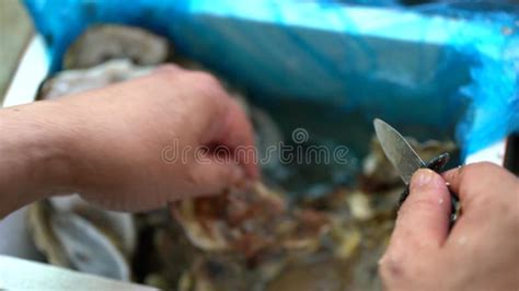 Chef Shells Red Prawns Inside a Professional Kitchen Stock Footage ...