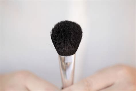 How to Clean Makeup Brushes | Beautylish