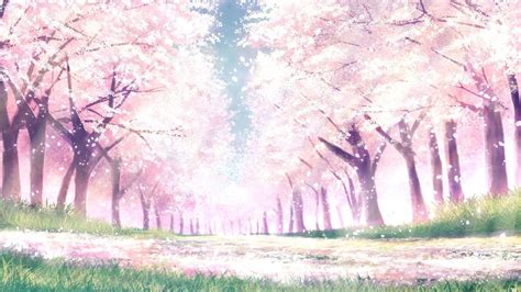 Anime Cherry Blossom Landscape Wallpapers - Wallpaper Cave