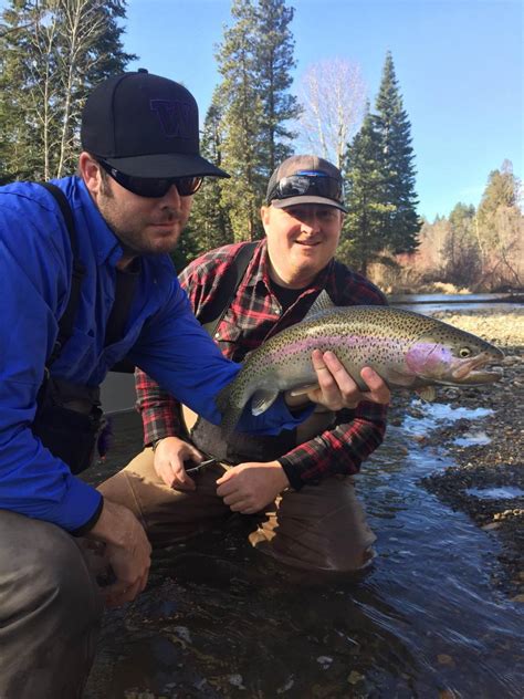 Yakima River Fishing, Reports, Guides and Shop | The Evening Hatch