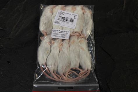 PLT Frozen Small Mice 10g+ Pack of 10 | Evolution Reptiles