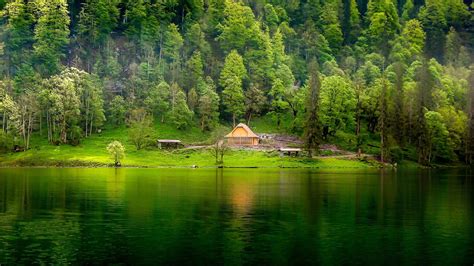 Download A Small House On A Lake Surrounded By Green Trees | Wallpapers.com