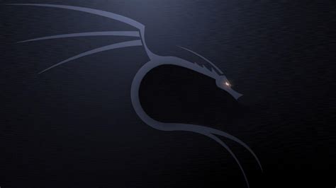 Kali Linux Wallpapers 1920x1080 - Wallpaper Cave