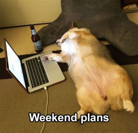 Weekend Plans