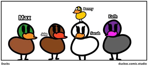 Ducks - Comic Studio