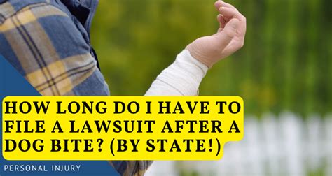 How Long Do I Have to File a Lawsuit After a Dog Bite? (By State!)