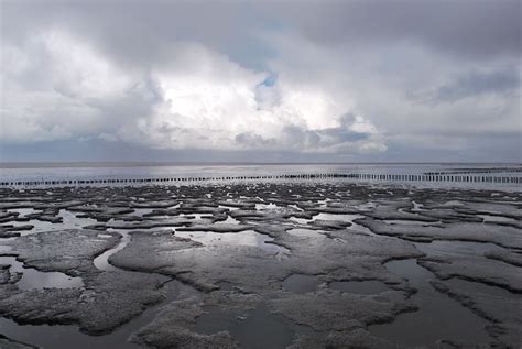 Tidal mudflats along the coasts of the Frisian Islands (or Dutch Wadden Sea Islands) in the ...