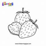 25 Free Fruit Coloring Pages For Kids And Adults sketch template