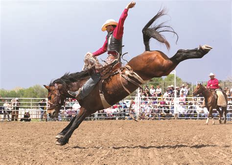 Isaac Diaz on Gunslinger (Bailey Pro Rodeo) at Miles City Bucking Horse ...