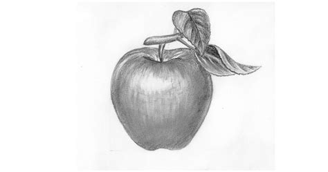 How to draw an apple with a pencil step-by-step drawing tutorial