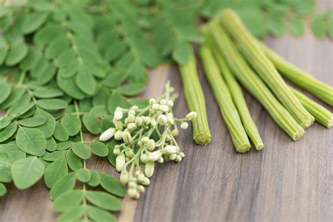 Todo sobre la moringa: propiedades, beneficios y su uso en la cocina