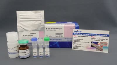 ADP/ATP Ratio Assay Kit-Luminescence – Dojindo Molecular Technologies, Inc.